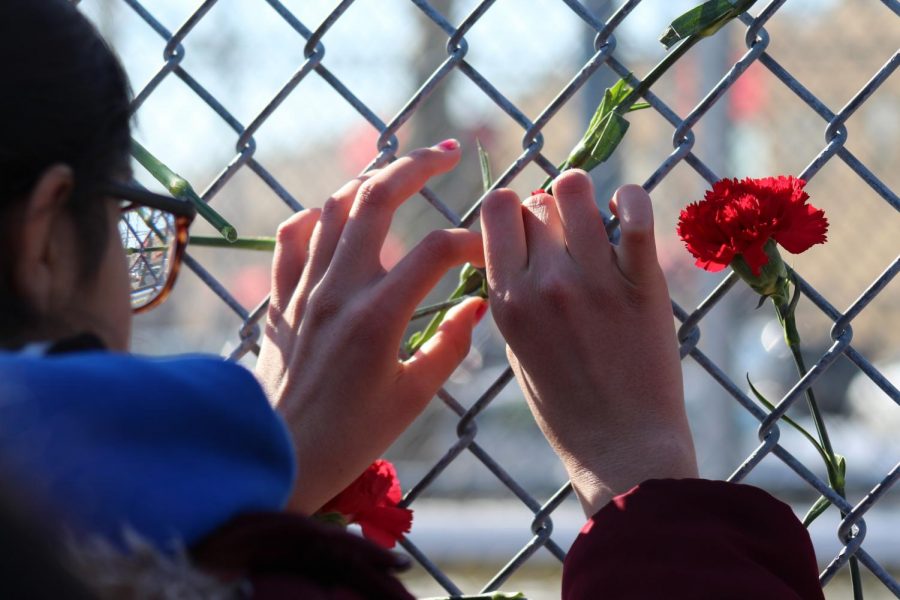 A student shows her respect for the Parkland victims by leaving her flower on the gate