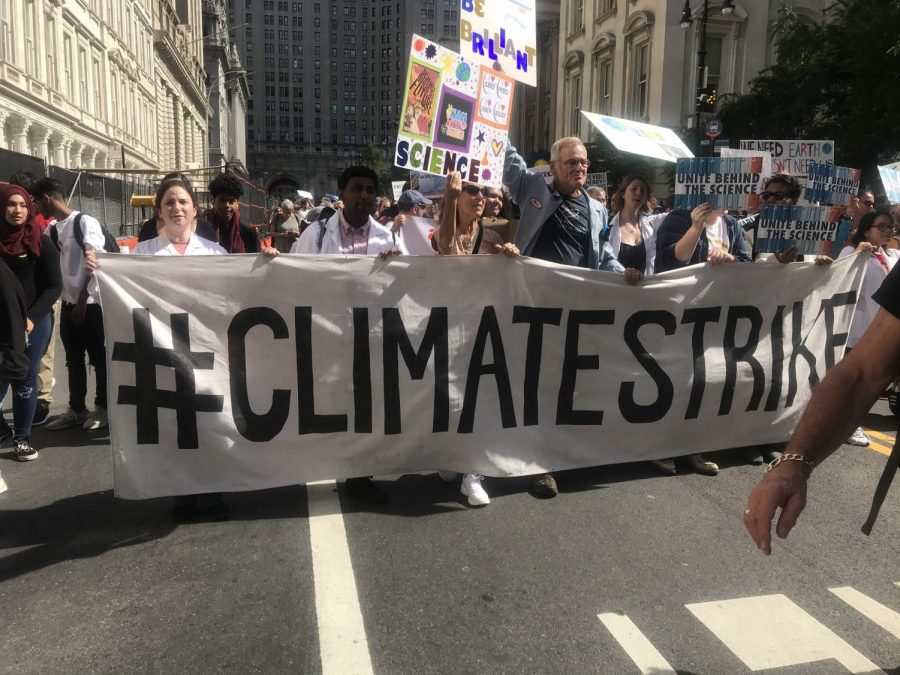 climate strike 1