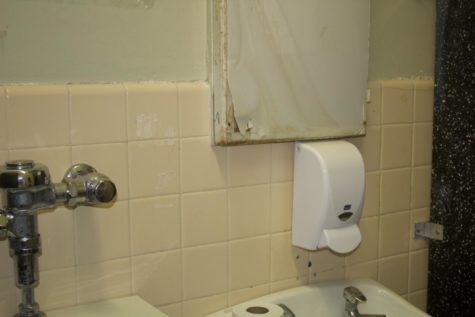Vandalism and Unhygienic Conditions in Student Bathrooms