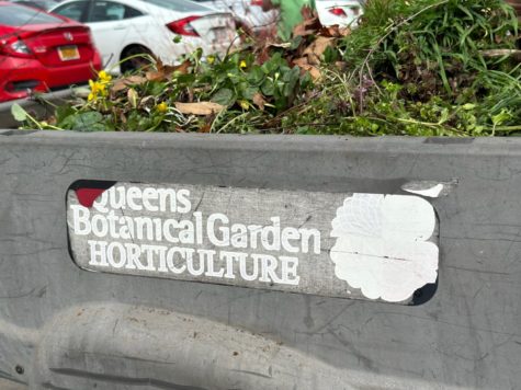 Queens Botanical Garden: The Hidden Gem of Queens